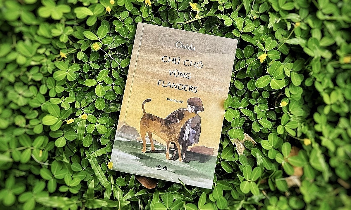 Chú chó vùng Flanders: Hồn nhiên vượt nghịch cảnh và bài học cho người trẻ Việt - hình ảnh - j88slot.vip Chú chó vùng Flanders: Hồn nhiên vượt nghịch cảnh và bài học cho người trẻ Việt - hình ảnh - j88slot.vip